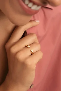 Anillo Doble Gota Acero Baño Oro