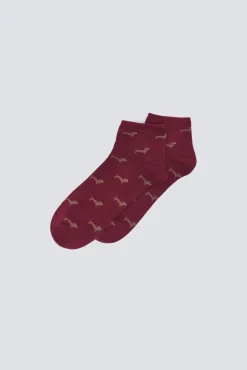 Calcetín corto perros