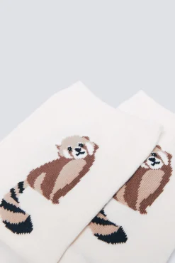 Calcetín largo mapache