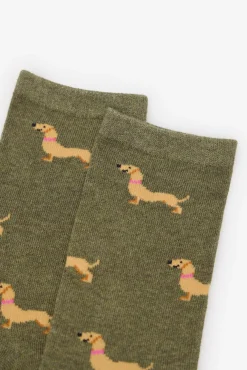 Calcetín largo teckel