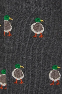 Calcetín Regular Algodón Caballero