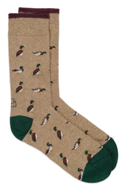 Calcetín Regular Algodón Caballero