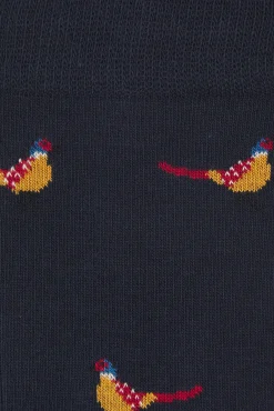 Calcetín Regular Algodón Caballero