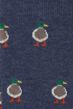 Calcetín Regular Algodón Caballero