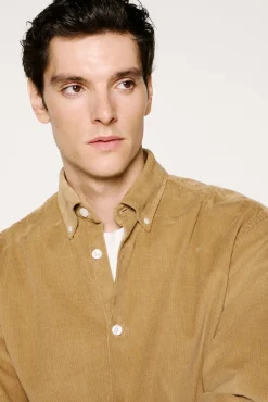 Camisa micropana 100% algodón orgánico