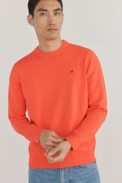 Jersey fino algodón premium cuello redondo