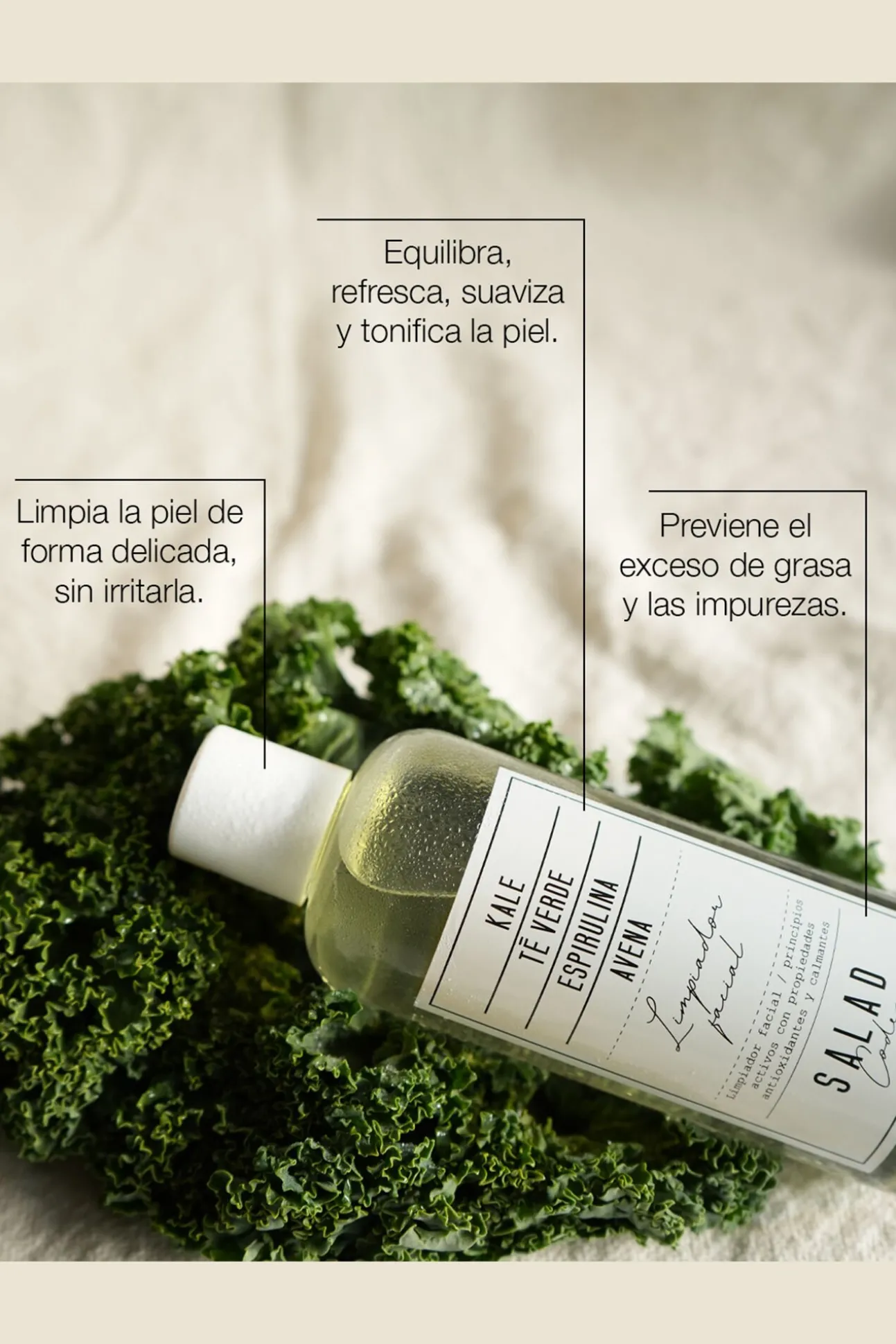 Limpiador facial antioxidante