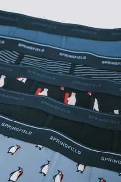 Pack 5 boxers algodón estampados