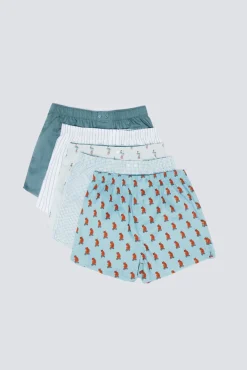 Pack 5 calzoncillos popelín estampados