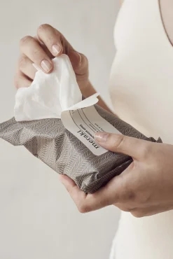 Paquete de toallitas refrescantes