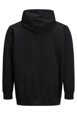 Sudadera capucha print logo PLUS