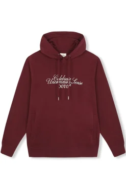 Sudadera gráfica con capucha