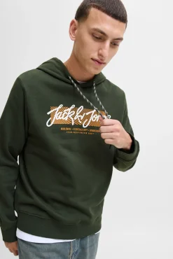 Sudadera logo con capucha